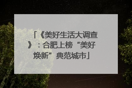 《美好生活大调查》：合肥上榜“美好焕新”典范城市