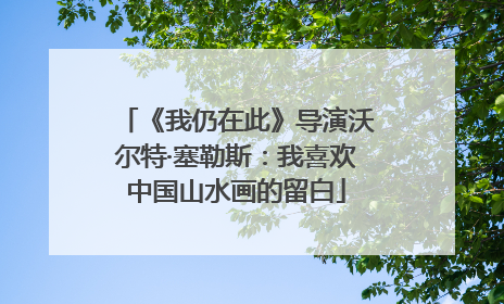 《我仍在此》导演沃尔特·塞勒斯：我喜欢中国山水画的留白