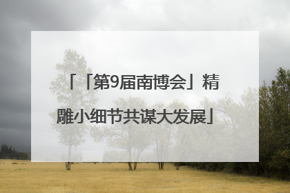 「第9届南博会」精雕小细节共谋大发展