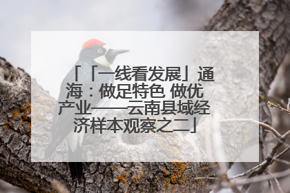 「一线看发展」通海：做足特色 做优产业——云南县域经济样本观察之二