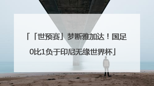 「世预赛」梦断雅加达！国足0比1负于印尼无缘世界杯