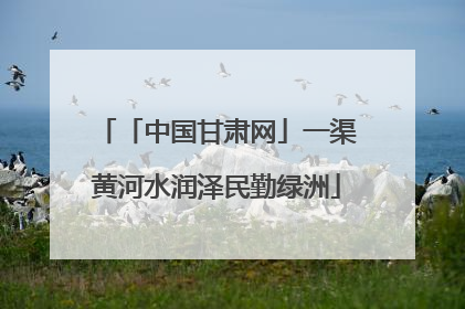 「中国甘肃网」一渠黄河水润泽民勤绿洲