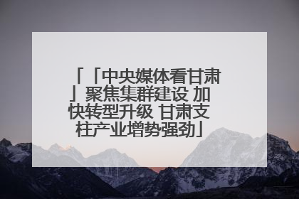 「中央媒体看甘肃」聚焦集群建设 加快转型升级 甘肃支柱产业增势强劲