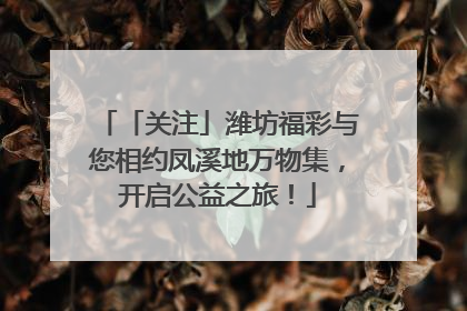 「关注」潍坊福彩与您相约凤溪地万物集，开启公益之旅！