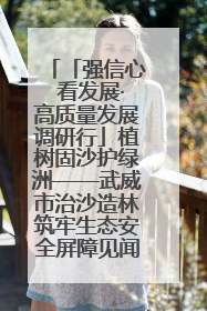 「强信心 看发展·高质量发展调研行」植树固沙护绿洲——武威市治沙造林筑牢生态安全屏障见闻