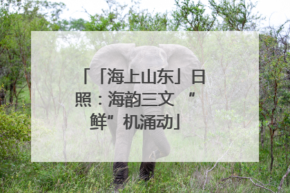 「海上山东」日照：海韵三文 “鲜”机涌动