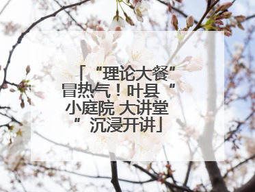 “理论大餐”冒热气！叶县“小庭院 大讲堂”沉浸开讲