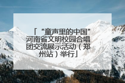 “童声里的中国”河南省文明校园合唱团交流展示活动（郑州站）举行