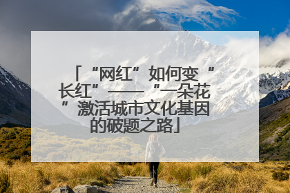 “网红”如何变“长红”——“一朵花”激活城市文化基因的破题之路