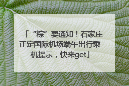 “粽”要通知！石家庄正定国际机场端午出行乘机提示，快来get