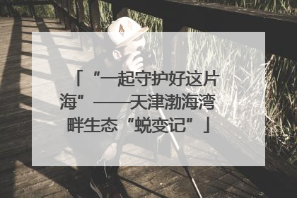 “一起守护好这片海”——天津渤海湾畔生态“蜕变记”