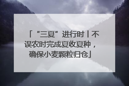 “三夏”进行时丨不误农时完成夏收夏种，确保小麦颗粒归仓
