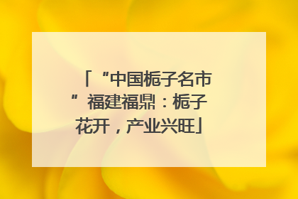 “中国栀子名市”福建福鼎：栀子花开，产业兴旺