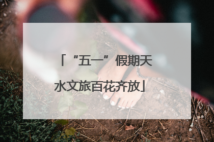 “五一”假期天水文旅百花齐放