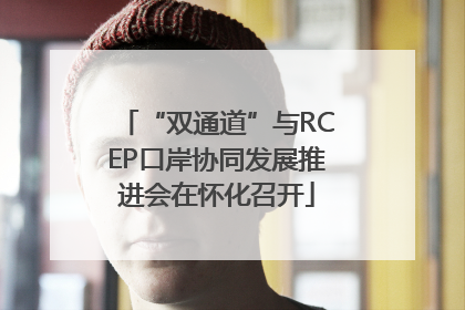 “双通道”与RCEP口岸协同发展推进会在怀化召开