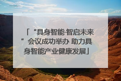 “具身智能·智启未来”会议成功举办 助力具身智能产业健康发展