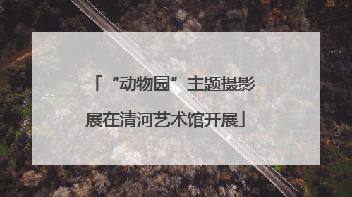 “动物园”主题摄影展在清河艺术馆开展