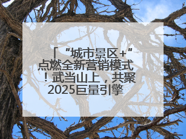 “城市景区+”点燃全新营销模式！武当山上，共聚2025巨量引擎城市生态大会！