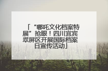 “哪吒文化档案特展”抢眼！四川宜宾翠屏区开展国际档案日宣传活动