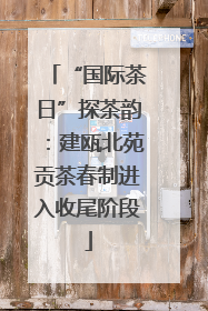 “国际茶日”探茶韵：建瓯北苑贡茶春制进入收尾阶段