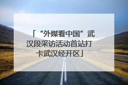 “外媒看中国”武汉段采访活动首站打卡武汉经开区