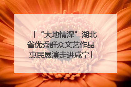 “大地情深”湖北省优秀群众文艺作品惠民展演走进咸宁
