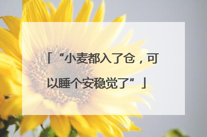 “小麦都入了仓，可以睡个安稳觉了”