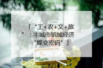 “工+农+文+旅”：丰城市镇域经济“蝶变密码”