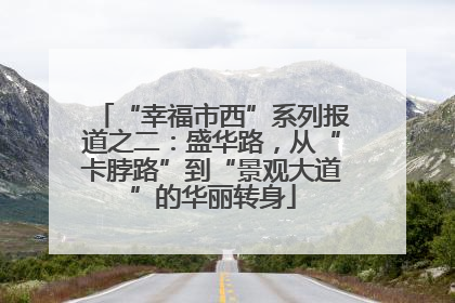 “幸福市西”系列报道之二：盛华路，从“卡脖路”到“景观大道”的华丽转身
