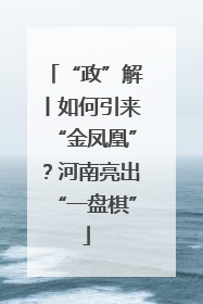 “政”解丨如何引来“金凤凰”？河南亮出“一盘棋”