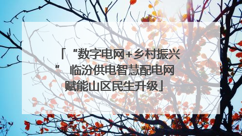 “数字电网+乡村振兴” 临汾供电智慧配电网赋能山区民生升级