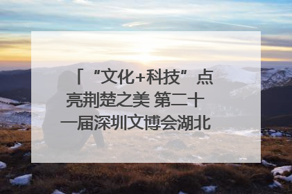 “文化+科技”点亮荆楚之美 第二十一届深圳文博会湖北馆抢“鲜”看