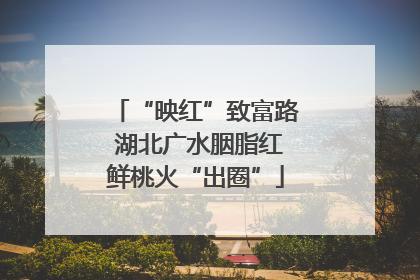 “映红”致富路 湖北广水胭脂红鲜桃火“出圈”