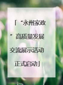 “永州家政”高质量发展交流展示活动正式启动