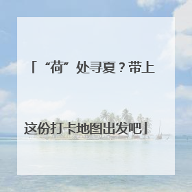 “荷”处寻夏？带上这份打卡地图出发吧