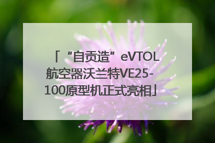 “自贡造”eVTOL航空器沃兰特VE25-100原型机正式亮相