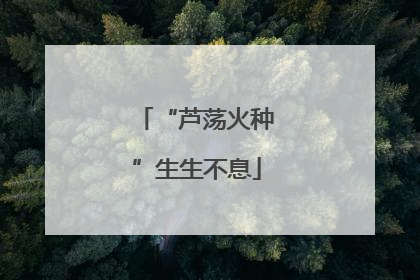 “芦荡火种”生生不息