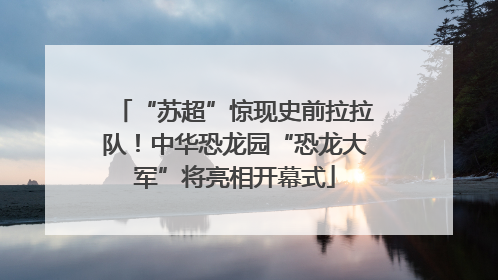 “苏超”惊现史前拉拉队！中华恐龙园“恐龙大军”将亮相开幕式