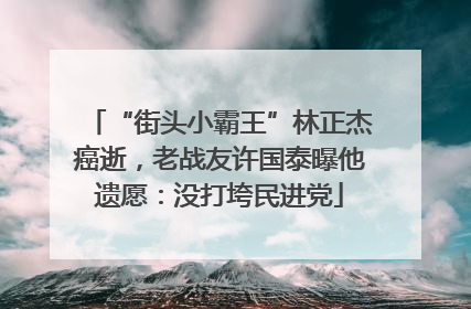 “街头小霸王”林正杰癌逝，老战友许国泰曝他遗愿：没打垮民进党