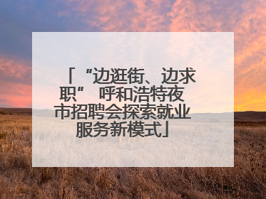 “边逛街、边求职” 呼和浩特夜市招聘会探索就业服务新模式