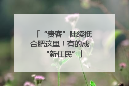 “贵客”陆续抵合肥这里！有的成“新住民”