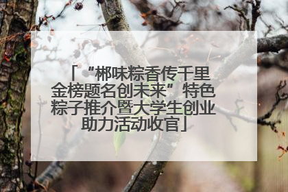 “郴味粽香传千里 金榜题名创未来”特色粽子推介暨大学生创业助力活动收官