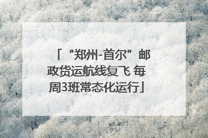 “郑州-首尔”邮政货运航线复飞 每周3班常态化运行