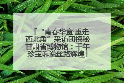 “青春华章·重走西北角”采访团探秘甘肃省博物馆：千年珍宝诉说丝路辉煌