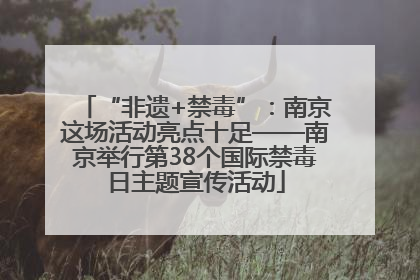 “非遗+禁毒”：南京这场活动亮点十足——南京举行第38个国际禁毒日主题宣传活动
