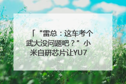 “雷总：这车考个武大没问题吧？”小米自研芯片让YU7会学习｜汽车科技