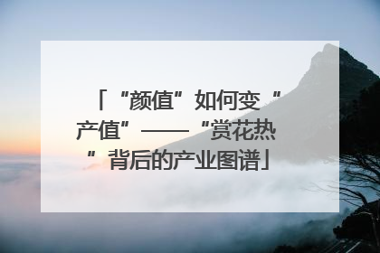 “颜值”如何变“产值”——“赏花热”背后的产业图谱