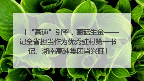 “高速”引擎，菌菇生金——记全省担当作为优秀驻村第一书记、湖南高速集团肖兴旺