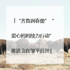 “齐鲁润春蕾”“爱心妈妈续力行动”推进会在邹平召开