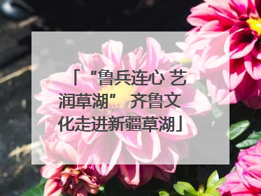 “鲁兵连心 艺润草湖” 齐鲁文化走进新疆草湖